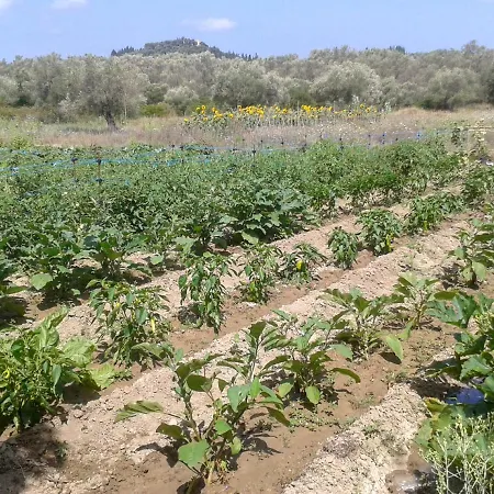 Aroggia Farm Vakantieboerderij *