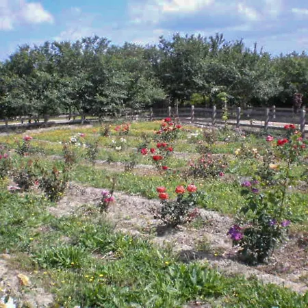 Vakantieboerderij Aroggia Farm *