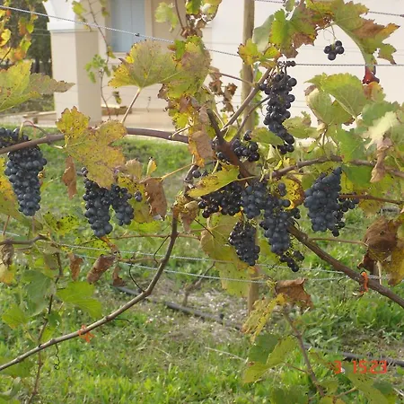Aroggia Farm Vakantieboerderij